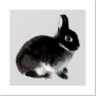 Black Otter Netherland Dwarf Rabbit Posters and Art